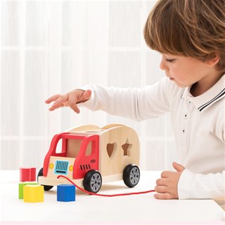 Shape sorting truck